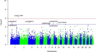 Genome-Wide Association Study Identifies New Candidate Markers for Somatic Cells Score in a Local Dairy Sheep